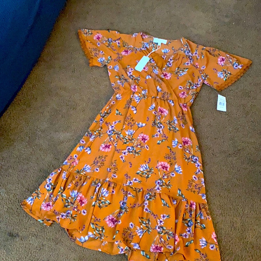 Burnt Orange Slip Cover Dress with Tags